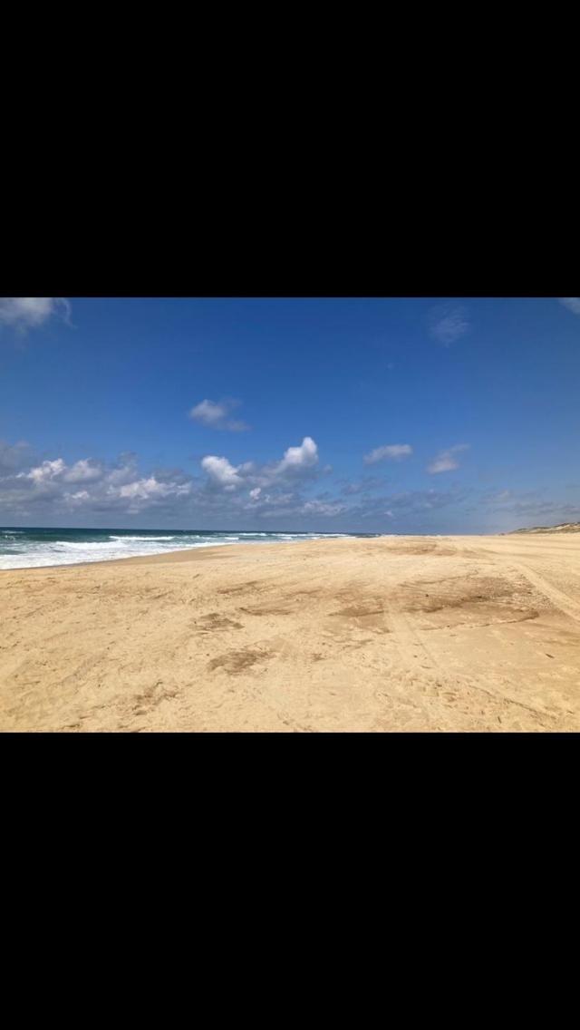 Villa Dune Biscarrosse Dış mekan fotoğraf