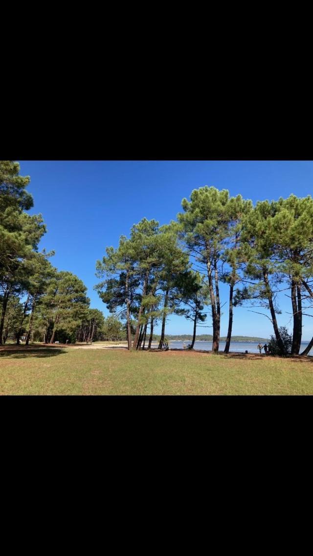 Villa Dune Biscarrosse Dış mekan fotoğraf
