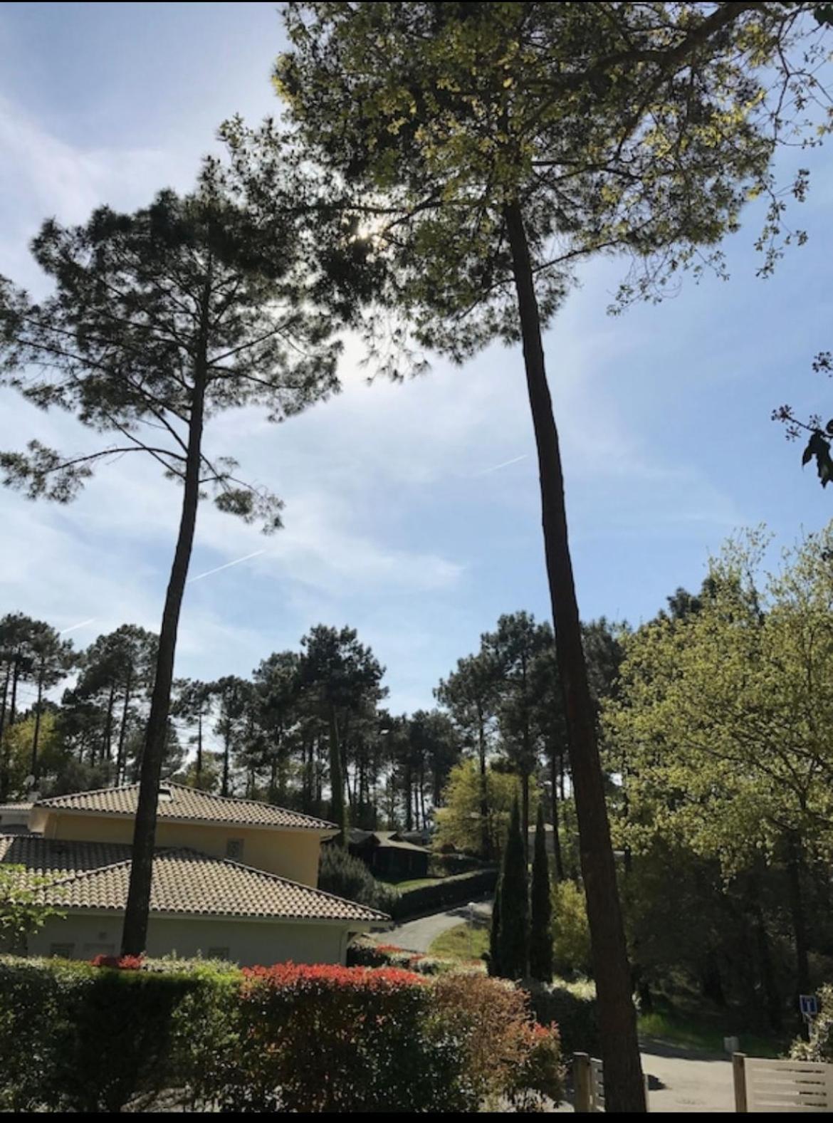 Villa Dune Biscarrosse Dış mekan fotoğraf